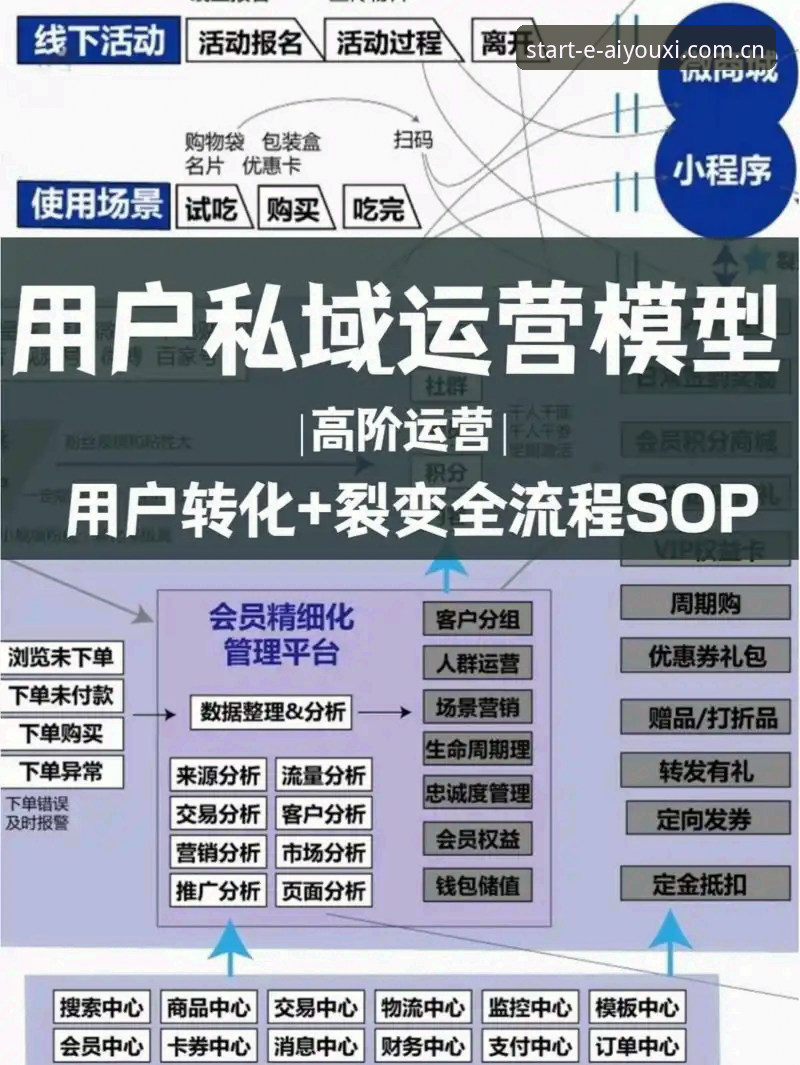 从数据流到用户流：爱游戏中国站v5.0更新内容的实战解析